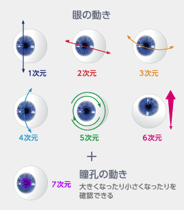 眼の動き