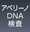 アベリーノDNA検査