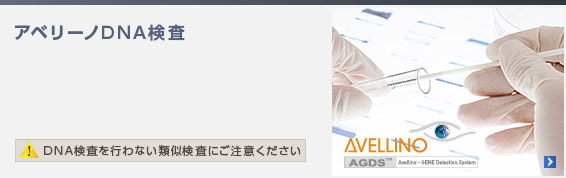 アベリーノDNA検査